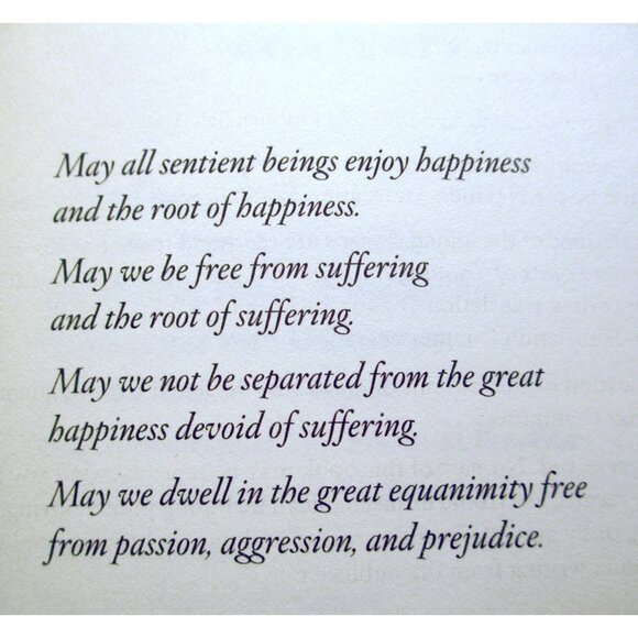 Book - Comfortable with Uncertainty: Teachings on Cultivating Fearlessness - Picture 2 of 15